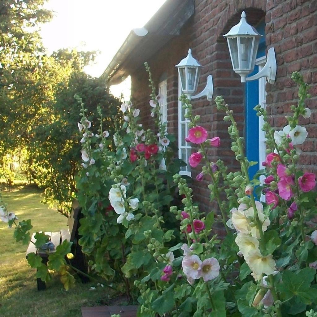 Haus Wolfram App. Wilhelmine * Morsum (Sylt)